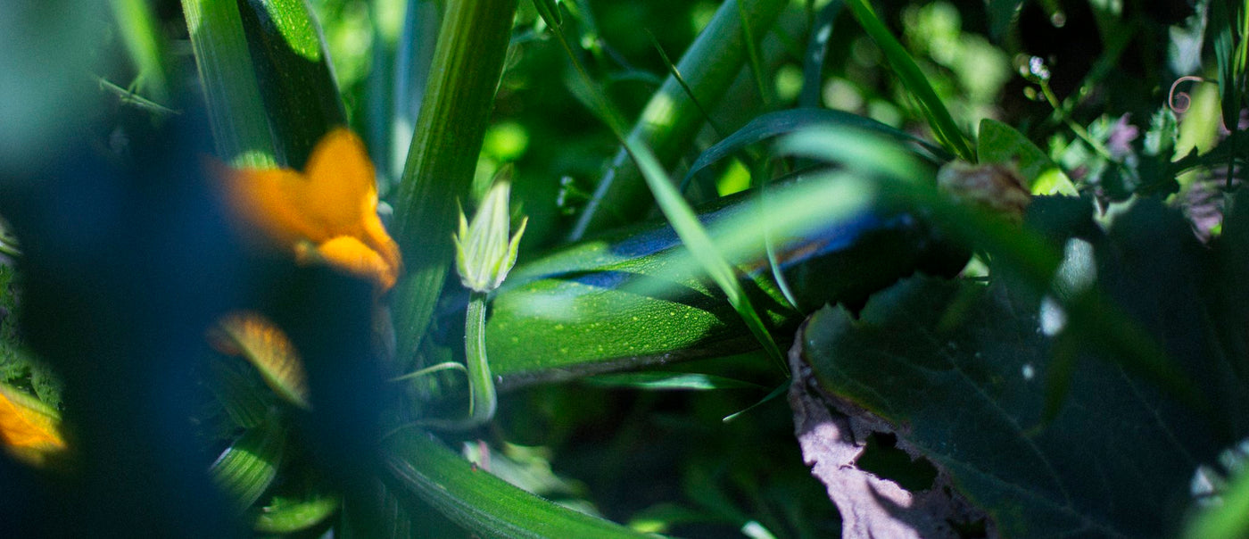 vidareutveckla e-butiken